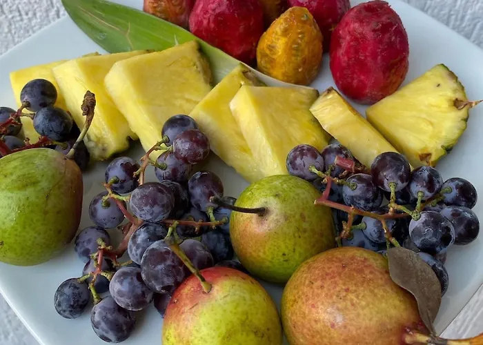 La Silvana Selva Di Fasano