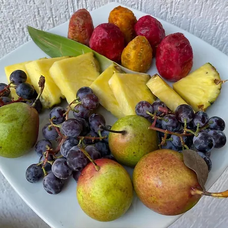 La Silvana Selva Di Fasano