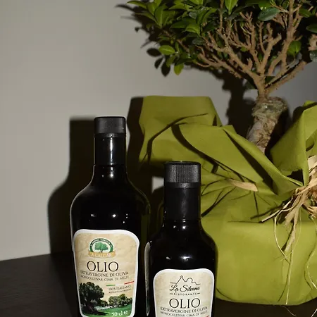 Hotel La Silvana Selva Di Fasano